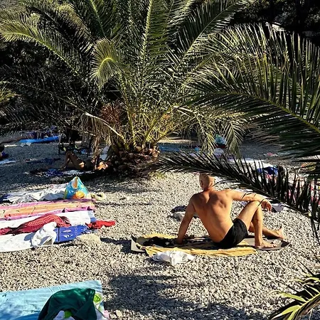 Vidovic -leon Trpanj