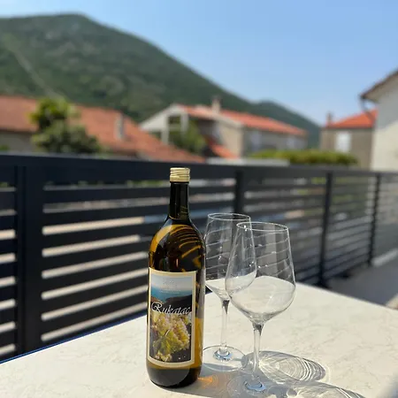 בית נופש Vidovic -leon *