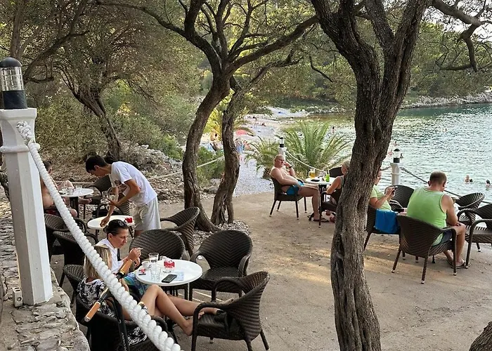 Vidovic -leon בית נופש טרפאניי