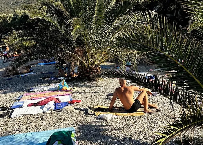 Vidovic -leon Trpanj