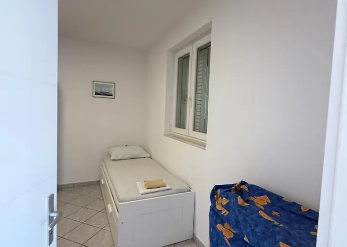 Vidovic -leon טרפאניי