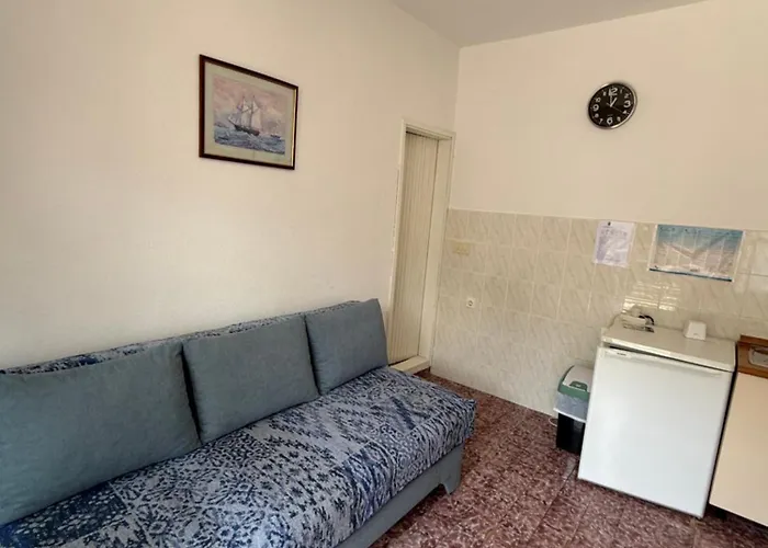 Vidovic -leon טרפאניי